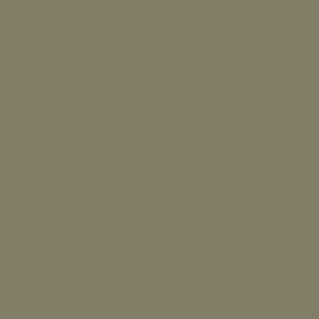 olivgrau (Ral 7002)