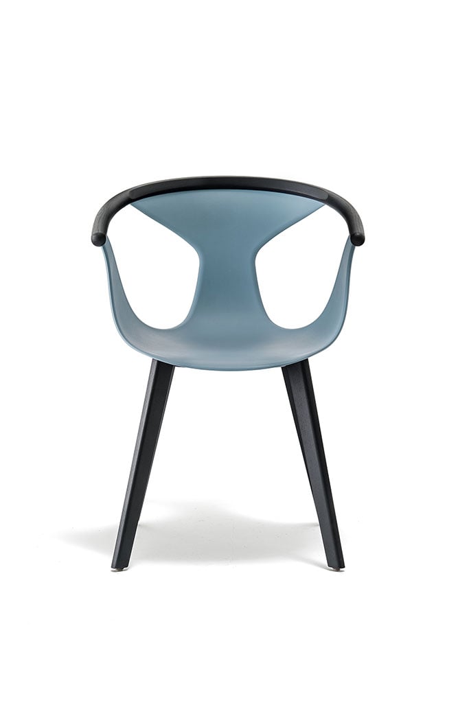 Pedrali Fox 3725 Stuhl schwarz gebeizt blau Front