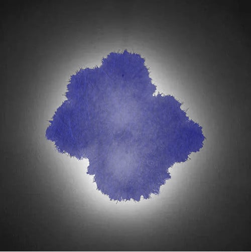 Catellani & Smith PostKrisi 0070 Wandleuchte - blau, 2x E14 - Lagerabverkauf