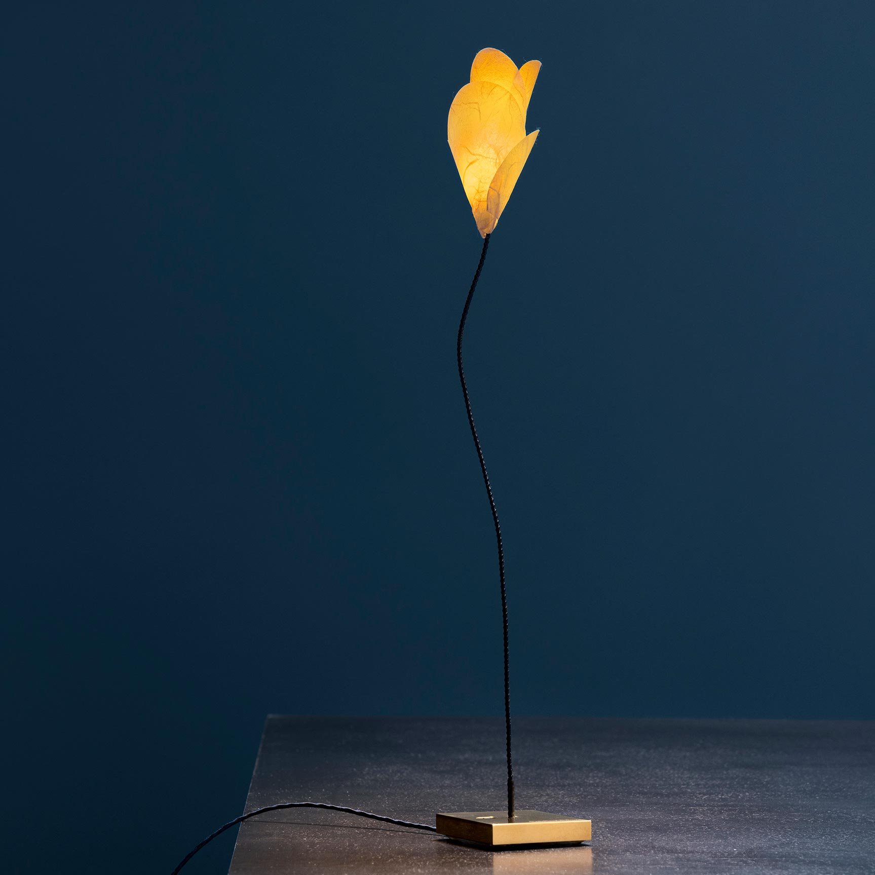 Catellani & Smith For You Tischleuchte Reispapierschirm weiß, Kabel blau FY