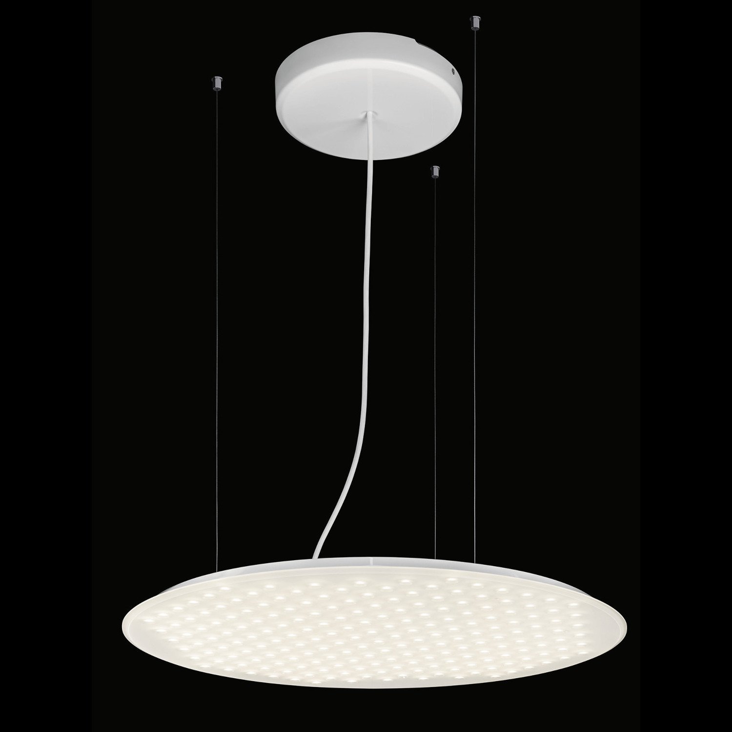 Nimbus Modul R 600 Project Pendelleuchte (ohne Indirektanteil, neutralweiß (4000... ohne Indirektanteil | neutralweiß (4000K) | 200cm | dimmbar über DALI / switchDim 833.66.584+833.66.567+833.66.569